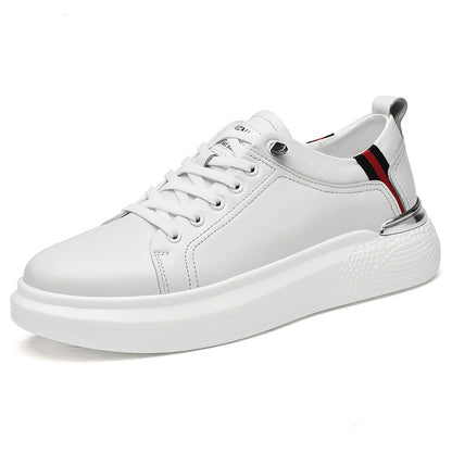 ALTEN URBAN - Calidad y Comfort