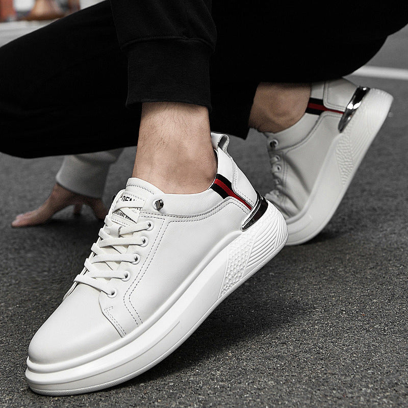 ALTEN URBAN - Calidad y Comfort