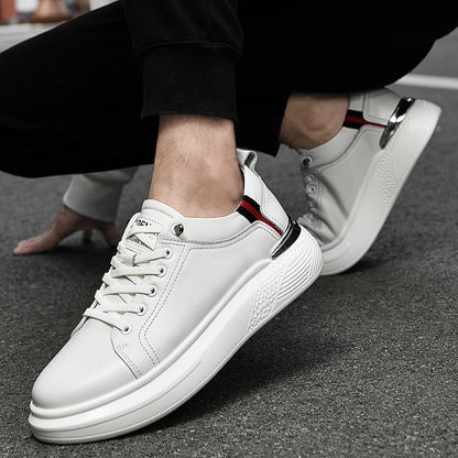 ALTEN URBAN - Calidad y Comfort