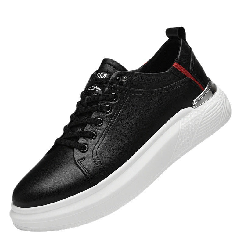 ALTEN URBAN - Calidad y Comfort
