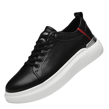ALTEN URBAN - Calidad y Comfort