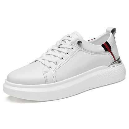 ALTEN URBAN - Calidad y Comfort